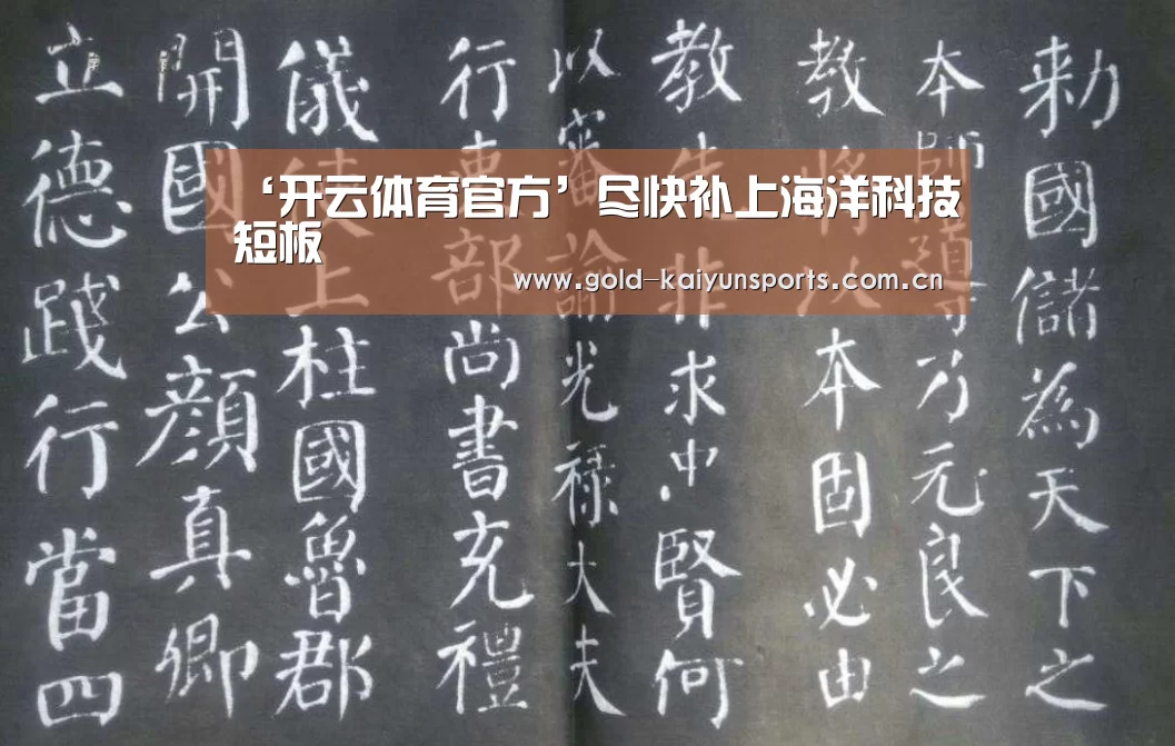 ‘开云体育官方’尽快补上海洋科技短板(图3) 开云体育数据中心