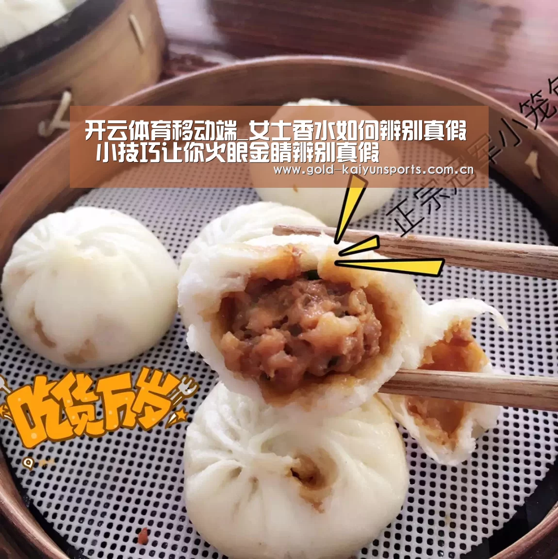 开云登录
